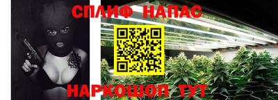 сатива Пенза