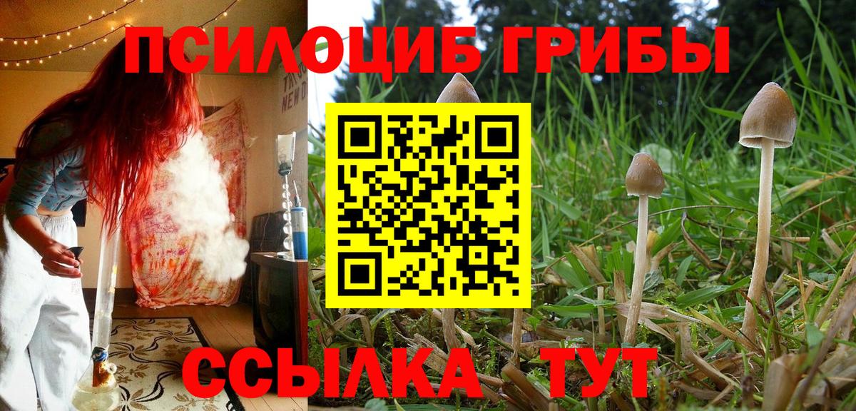 Нарткала  Галлюциногенные грибы GOLDEN TEACHER  Псилоцибиновые грибы MAGIC MUSHROOMS  Вход с VPN 